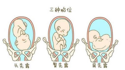 金华试管助孕价格：2023郑州试管医院试管婴儿完整攻略手册，费用明细及成功率参考