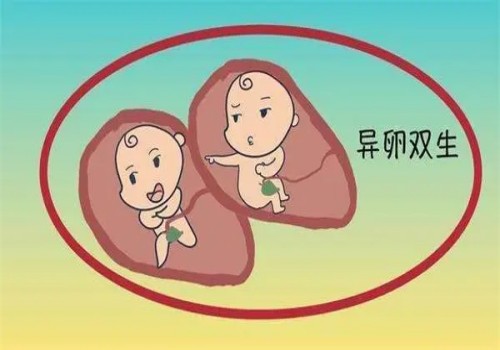 血象高要引起注意，血象高的引发原因须知道